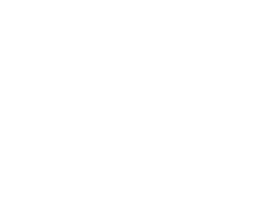 https://www.breinlijn.nl